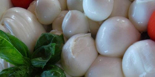 Il gusto prelibato della mozzarella di bufala campana