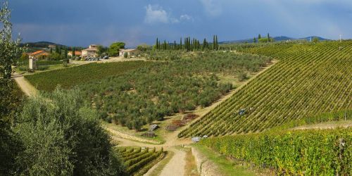 Alla Scoperta della Strada del Chianti: Un Viaggio tra Vino, Arte e Paesaggi Toscani