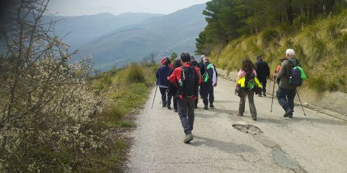 Trekking panoramico sulle Serre di Monte Caruso