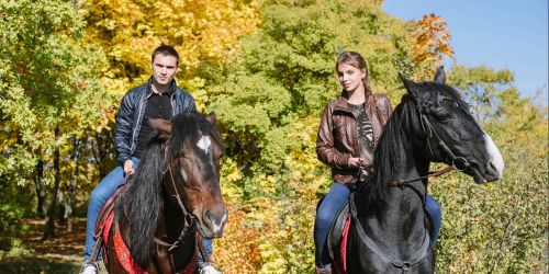 I Cavalieri Erranti organizzano la Passeggiata a Cavallo sul Monte Taburno Camposauro