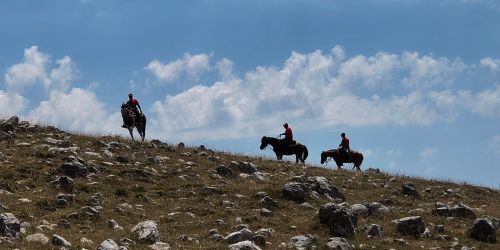 Grande successo per la passeggiata del 20 luglio organizzata dai Cavalieri Erranti – Trekking Camposauro