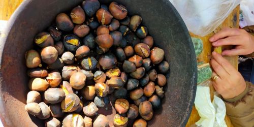 Vitulano celebra i suoi sapori: la Sagra della Castagna e del Pecorino 2025