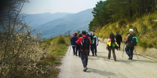 Trekking di Primavera sul Camposauro: natura, panorami e aria aperta