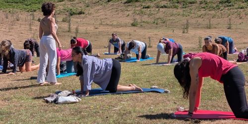 Yoga e natura sul Monte Camposauro: una giornata di benessere allo Chalet Natura